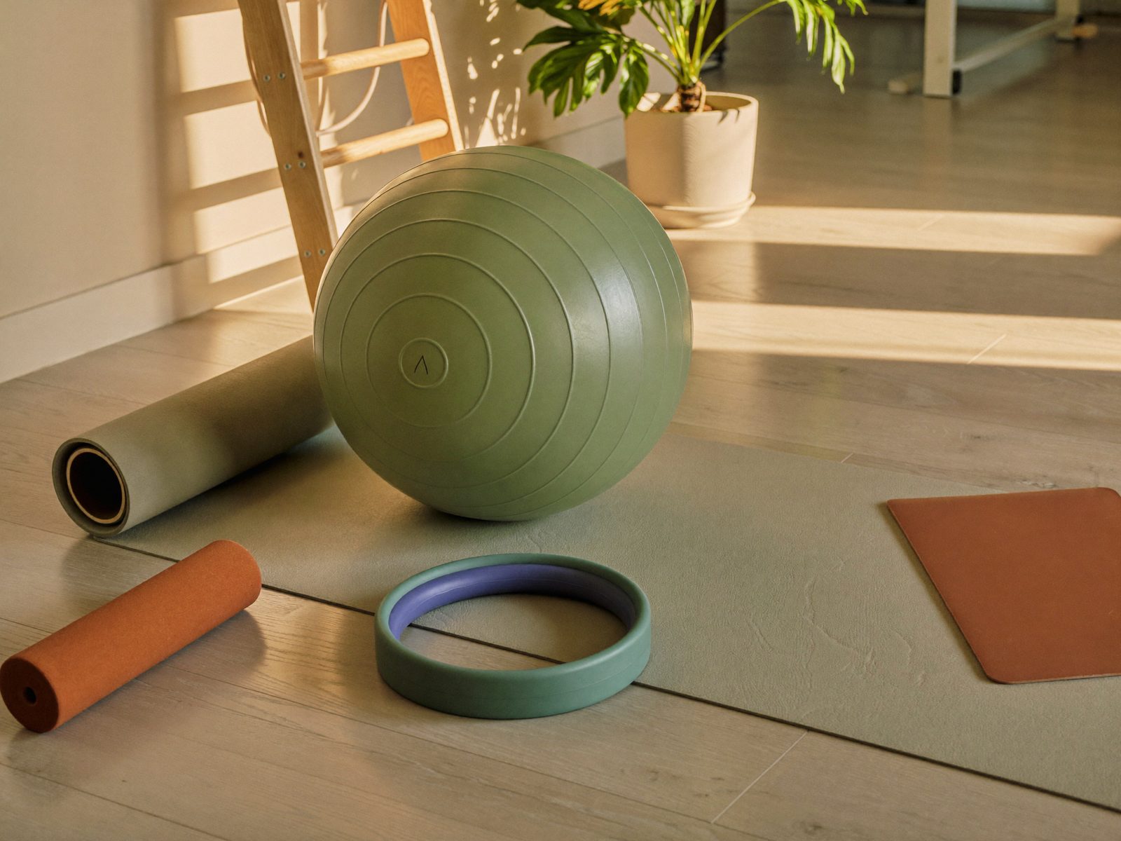 Material de pilates terapéutico: fitball, aro, colchoneta, rulo y banda elástica